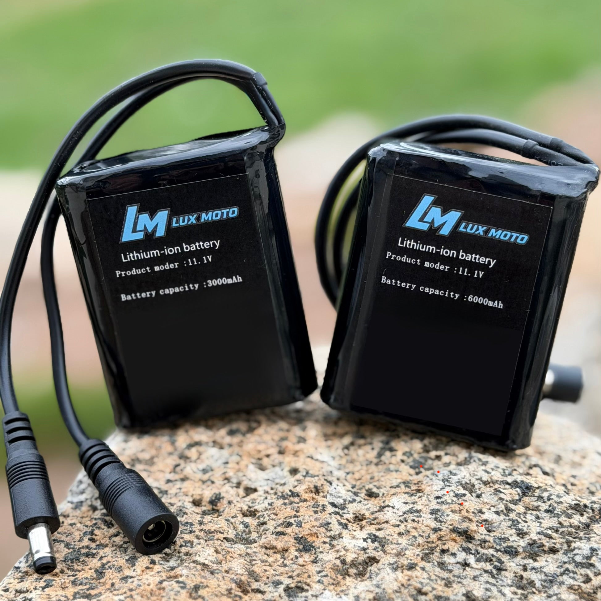 Lithium Ion Rechargeable battery ( with charger )